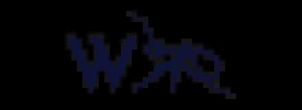 Lansa Fastigheter logotyp